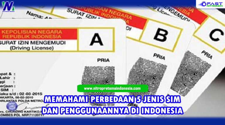 Memahami Perbedaan 5 Jenis Sim Dan Penggunaannya Di Indonesia Nitro Riset